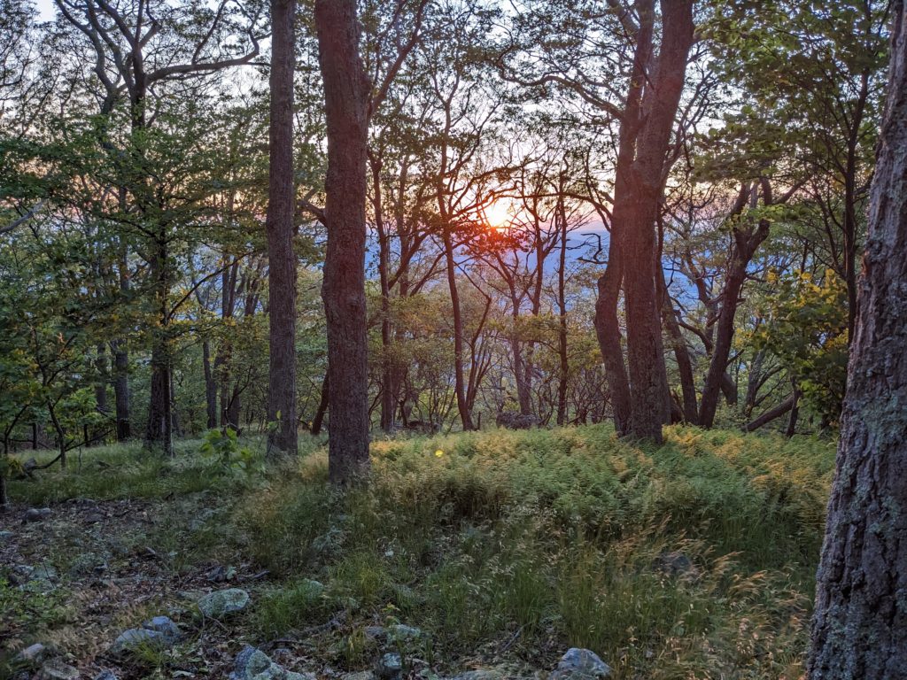 Sunset hike along the Appalachian Trail at the Big Meadows Campground access point.