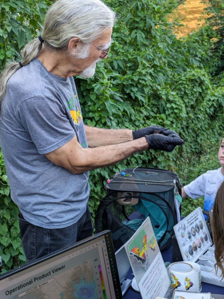 Conservationist holding a baby felled bat who he had nursed back to life and released that same night