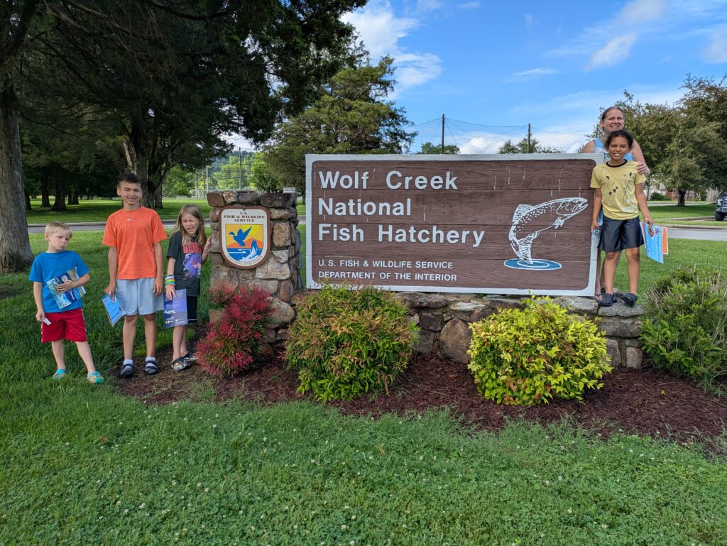Trout Hatchery Fun