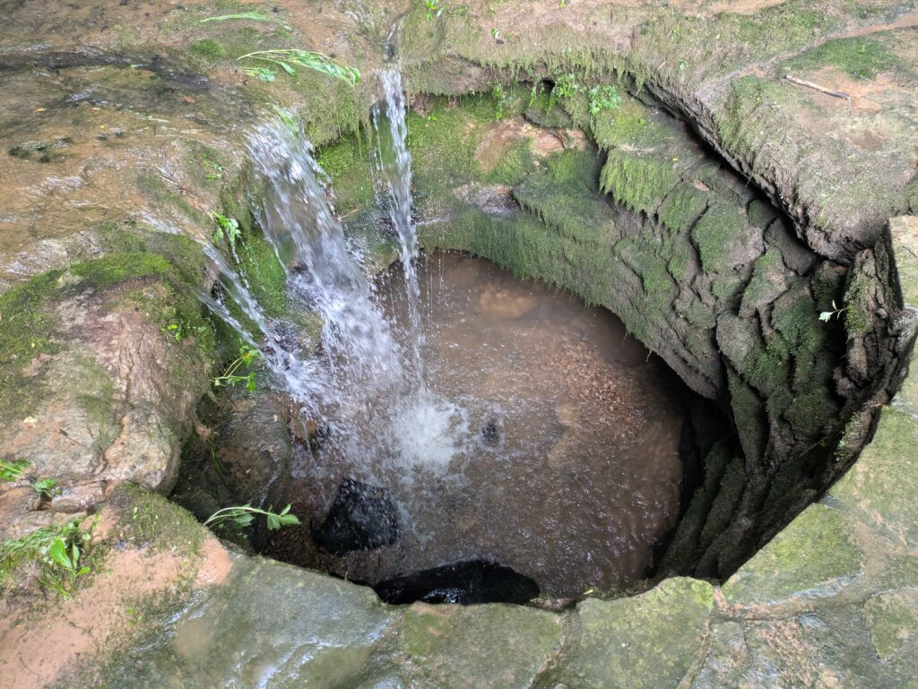 Sinking Springs Farm get's it namesake from this spring on the property which flows to Mammoth Cave