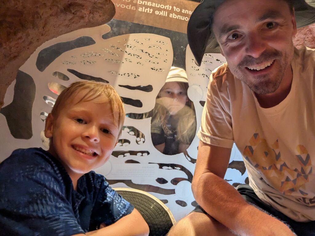 Hanging in a termite mound