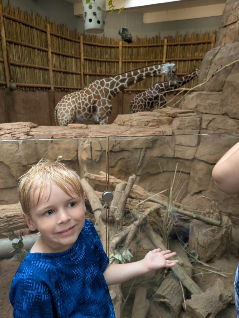 Checking the Gerald the Giraffe