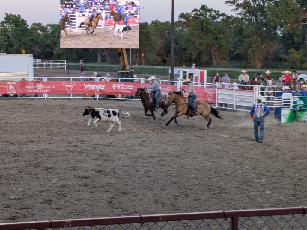 Cattle ropin' rip roarin' good time
