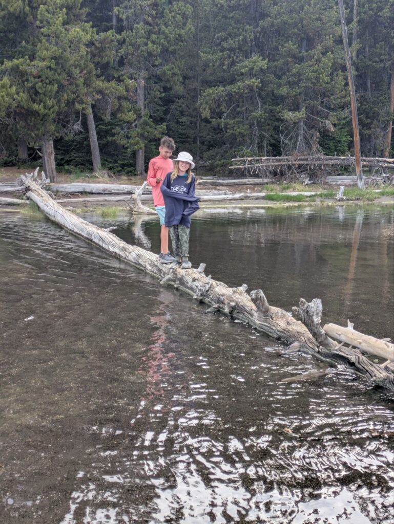 Lincoln and Liam explore the island at Yellowstone Lake