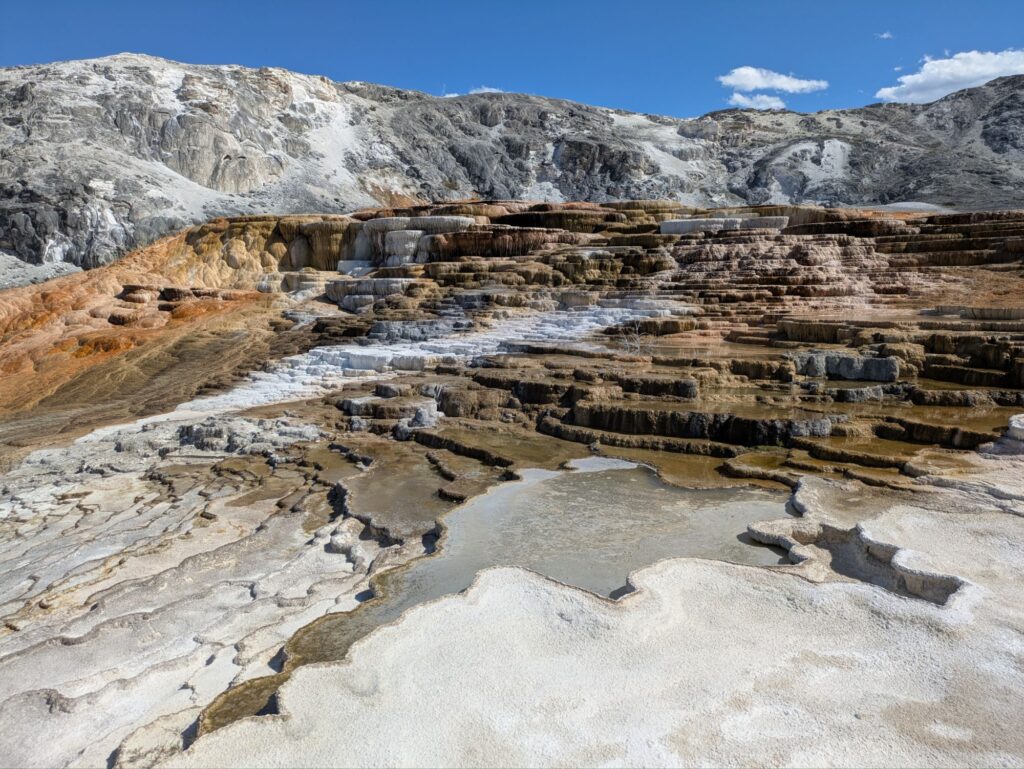 The dazzling colors of Mammoth Hot Springs