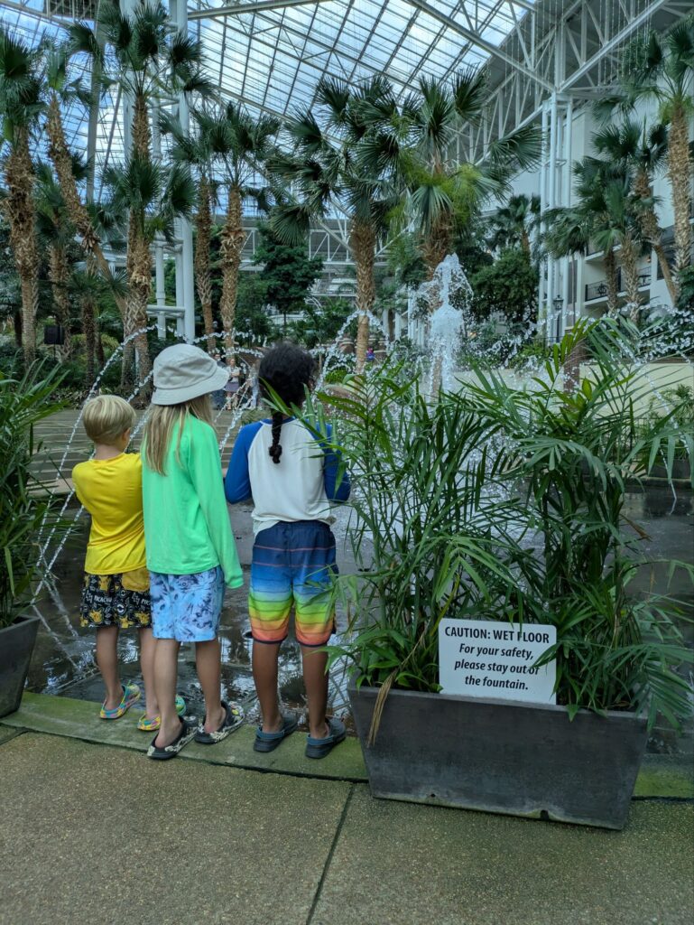 Gaylord Hotel Opryland: Perhaps where the word 'Op'ulence comes from?