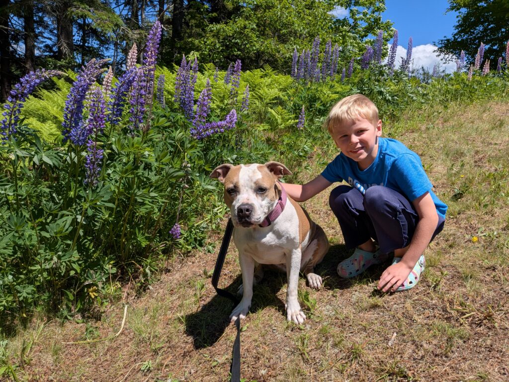 Madison and Stella Posing with the Big Leaf Lupines
