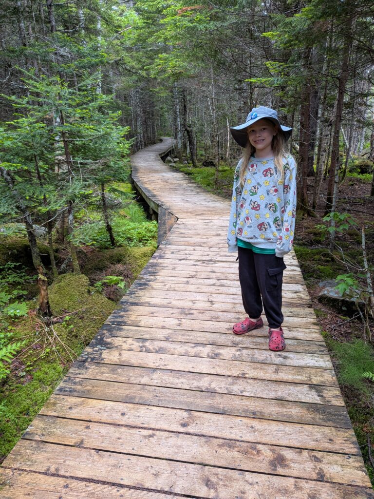 Lincoln on the Caribou Plain Trail