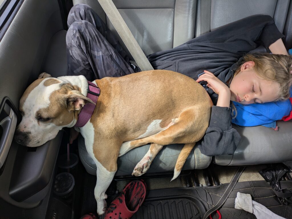 Lincoln and Stella Resting on the Road