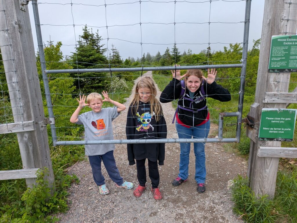 No Moose Allowed!