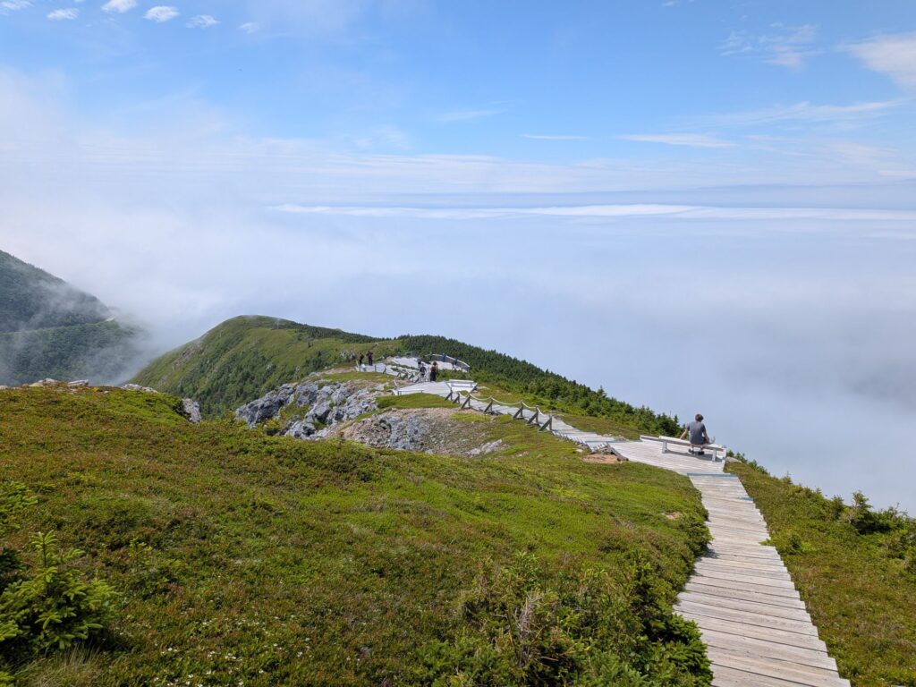 View from the Skyline Trail after the Fog Cleared
